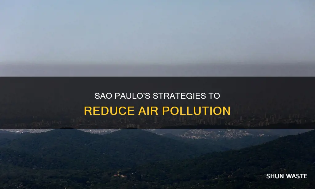 how does sao paulo reduce air pollution