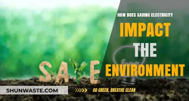 Saving Electricity: A Powerful Step Towards Environmental Sustainability