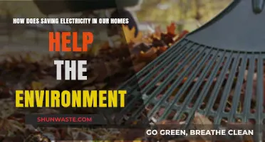 Saving Electricity at Home: A Powerful Step for Environmental Protection