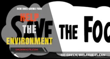 Saving Food: A Simple Step to Protect Our Planet