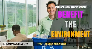 Reducing Workplace Plastic Waste: Eco-Friendly Practices for a Greener Future