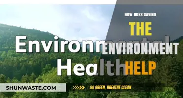Saving the Environment: How It Benefits Our Health, Economy, and Future