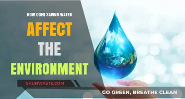 Saving Water: A Powerful Step Toward Environmental Sustainability and Health
