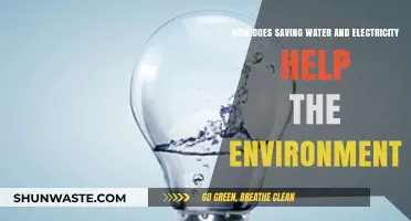 Sustainable Living: How Saving Water and Electricity Protects Our Planet