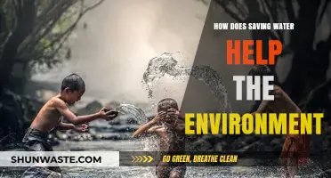 Saving Water: A Simple Step to Protect Our Environment