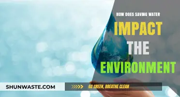 Saving Water: A Powerful Step Toward Environmental Sustainability and Health