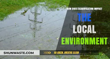 Scarification's Ecological Footprint: Local Environmental Impacts Explored