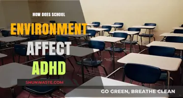 School Environment's Impact on ADHD: Challenges and Support Strategies