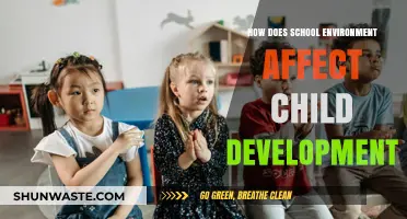 School Environment's Impact on Child Development: Shaping Minds, Futures