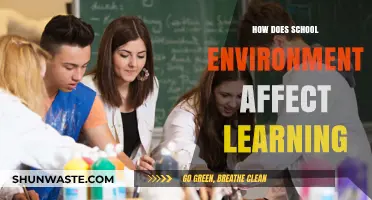 Classroom Atmosphere: Impact of School Environment on Student Learning Outcomes