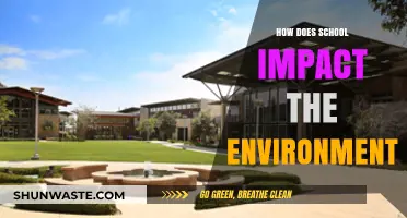 Schools' Environmental Footprint: Impact, Challenges, and Sustainable Solutions