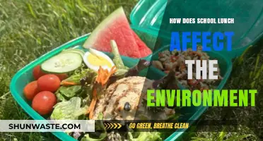 School Lunch's Environmental Impact: Sustainable Choices for a Greener Future