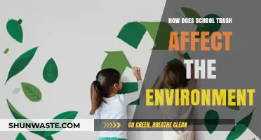 School Waste Crisis: Environmental Impact and Sustainable Solutions Revealed