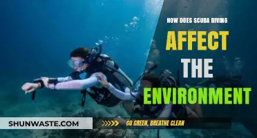 Scuba Diving's Environmental Impact: Exploring the Depths and Consequences