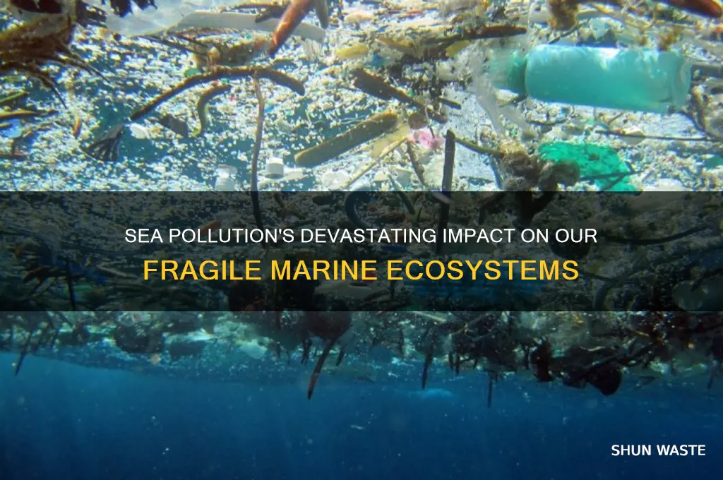 how does sea pollution affect the environment