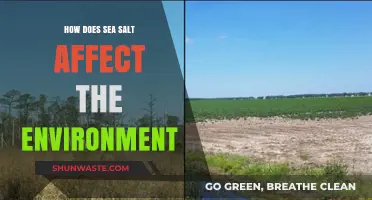 Sea Salt's Environmental Impact: Uncovering Its Effects on Ecosystems