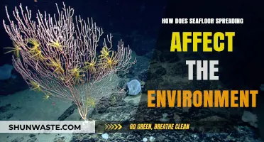 Seafloor Spreading's Impact: Shaping Ecosystems and Climate Dynamics
