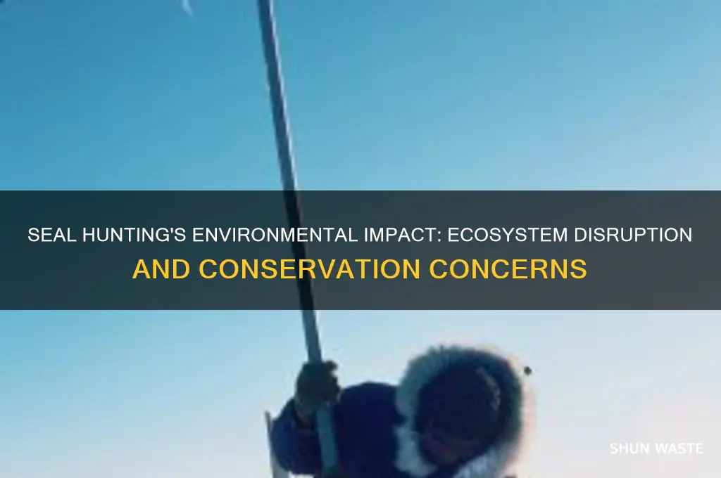 how does seal hunting affect the environment