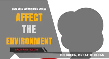 Secondhand Smoke's Environmental Impact: Pollution, Waste, and Ecosystem Damage