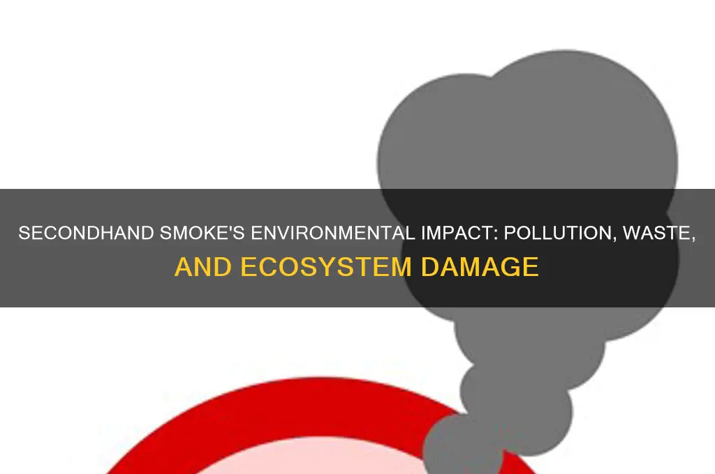 how does second hand smoke affect the environment