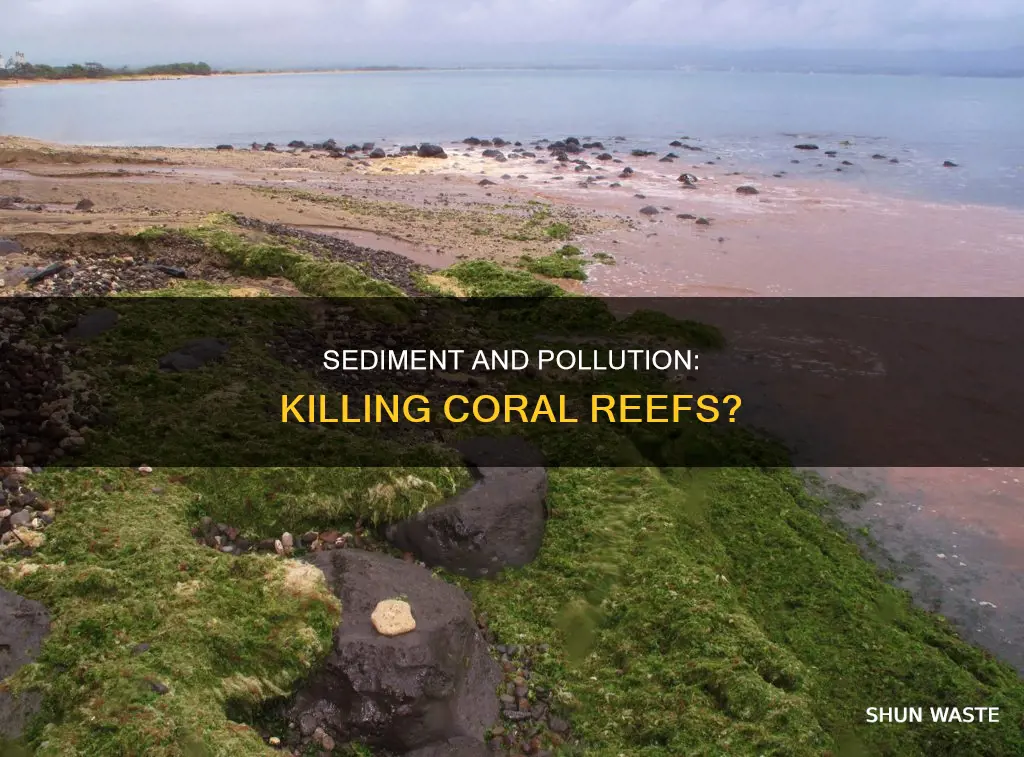 how does sediment and pollution affect coral reefs