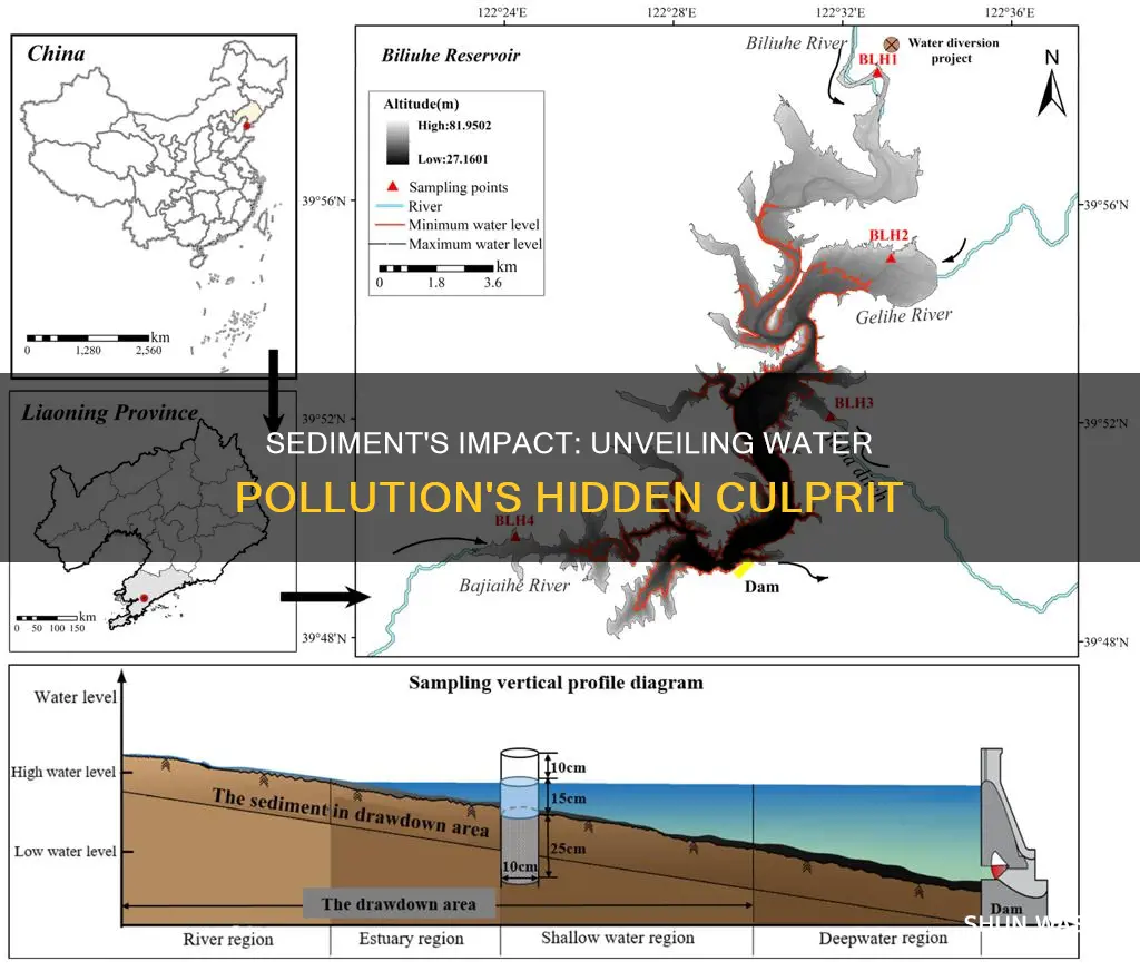 how does sediment cause water pollution