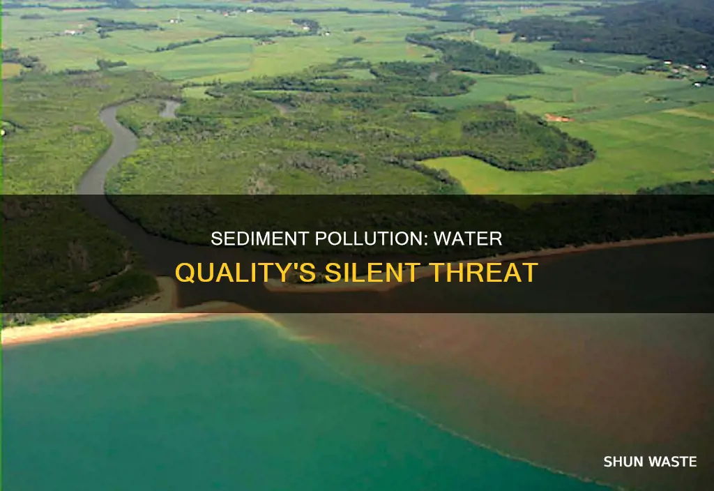 how does sediment pollution affect water quality