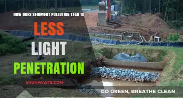 Sediment Pollution: Blocking Light, Stifling Life
