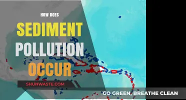 Sediment Pollution: Understanding the Causes and Impacts
