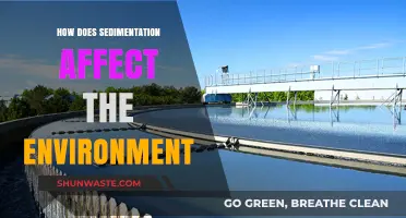 Sedimentation's Impact: Environmental Consequences and Ecosystem Disruption Explained