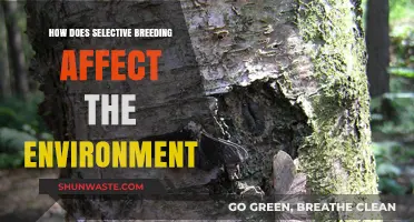Selective Breeding's Environmental Impact: Benefits, Risks, and Sustainability Concerns