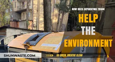Separating Trash: A Simple Act with Big Environmental Benefits