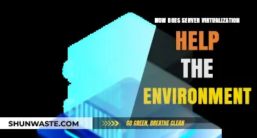 Server Virtualization: Reducing Carbon Footprint and Boosting Sustainability