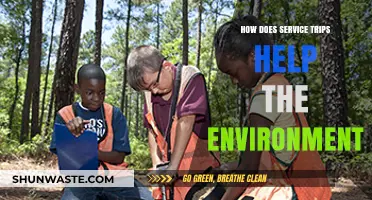 Service Trips: Empowering Communities, Protecting Ecosystems, and Preserving Our Planet