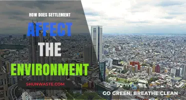 Urban Settlement Impacts: Environmental Consequences and Sustainable Solutions Explored