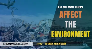 Severe Weather's Impact: Environmental Consequences and Long-Term Effects