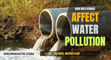 Sewage Impact: Water Pollution and Its Causes