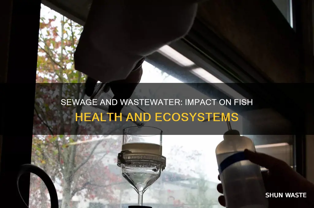 how does sewage and waste water affect fish