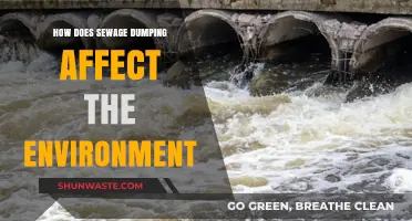 Sewage Dumping's Devastating Impact on Ecosystems and Human Health
