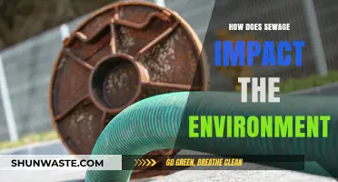 Sewage's Environmental Toll: Pollution, Ecosystems, and Public Health Risks