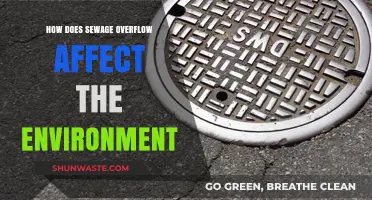 Sewage Overflow's Devastating Impact on Ecosystems and Water Quality