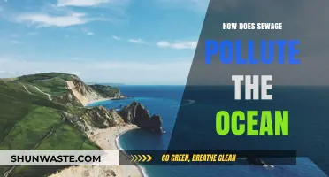 Sewage's Impact: Ocean Pollution Explained