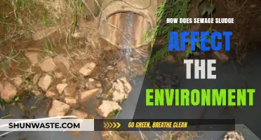 Sewage Sludge's Environmental Impact: Pollution, Soil, and Water Concerns