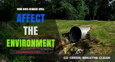 Sewage Spills: Devastating Environmental Impacts and Long-Term Consequences