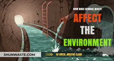 Sewage Waste's Devastating Environmental Impact: Causes, Effects, and Solutions