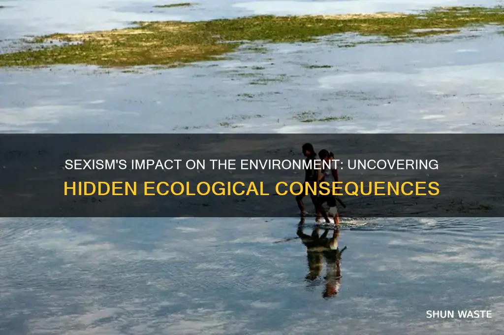 how does sexism affect the environment
