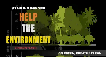 Shade-Grown Coffee: Boosting Biodiversity and Protecting Our Planet