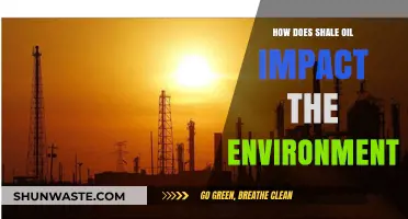Shale Oil Extraction: Environmental Impacts and Sustainability Concerns