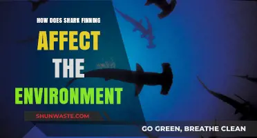 Shark Finning's Devastating Impact on Marine Ecosystems and Biodiversity