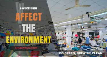 Shein's Environmental Impact: Fast Fashion's Toll on Our Planet